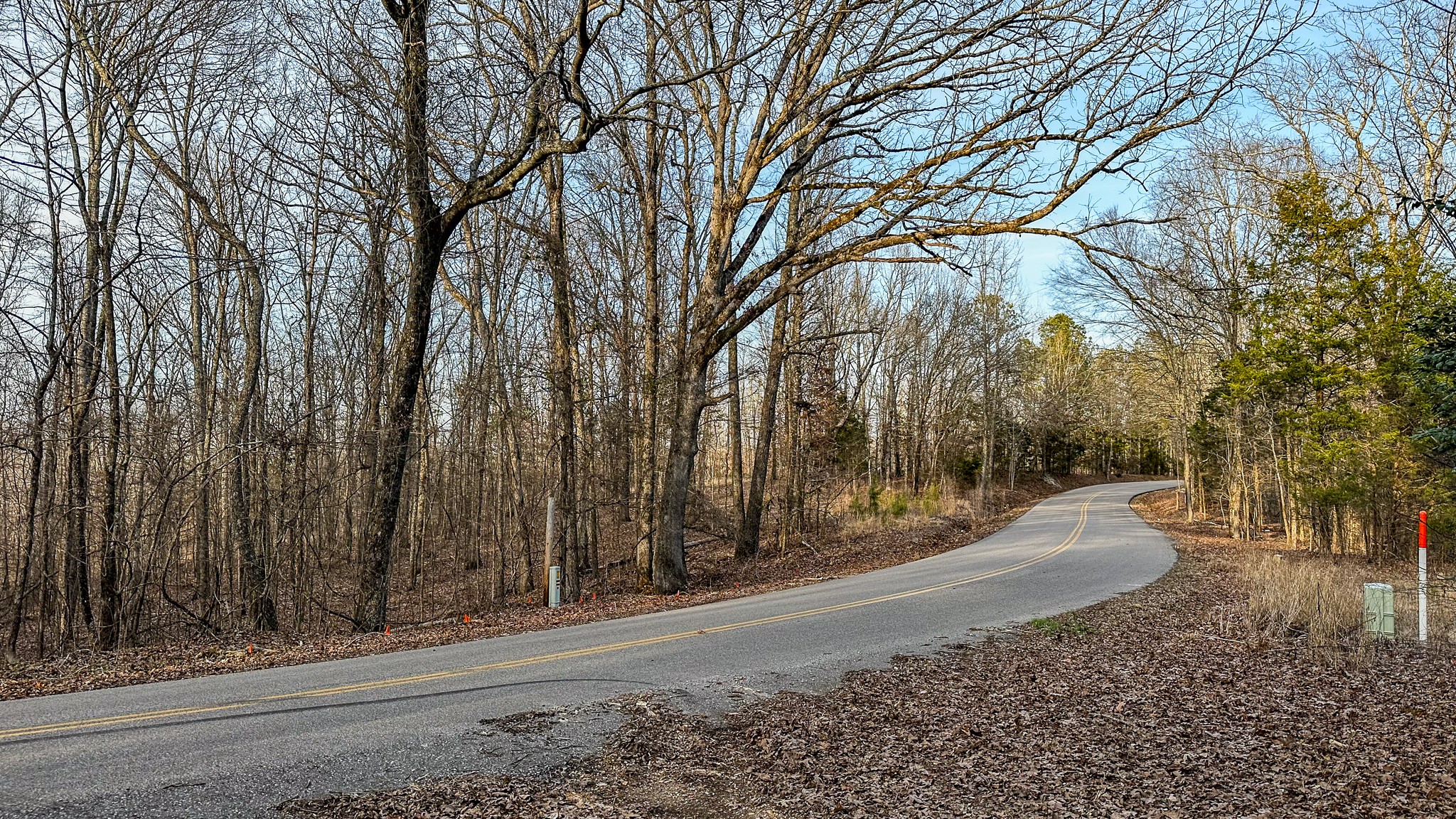 3677 Center Hill Road Finger, TN 38334 - Photo 1 of 50 a view of a yard with large trees