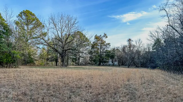 a view of a field with trees in the background
