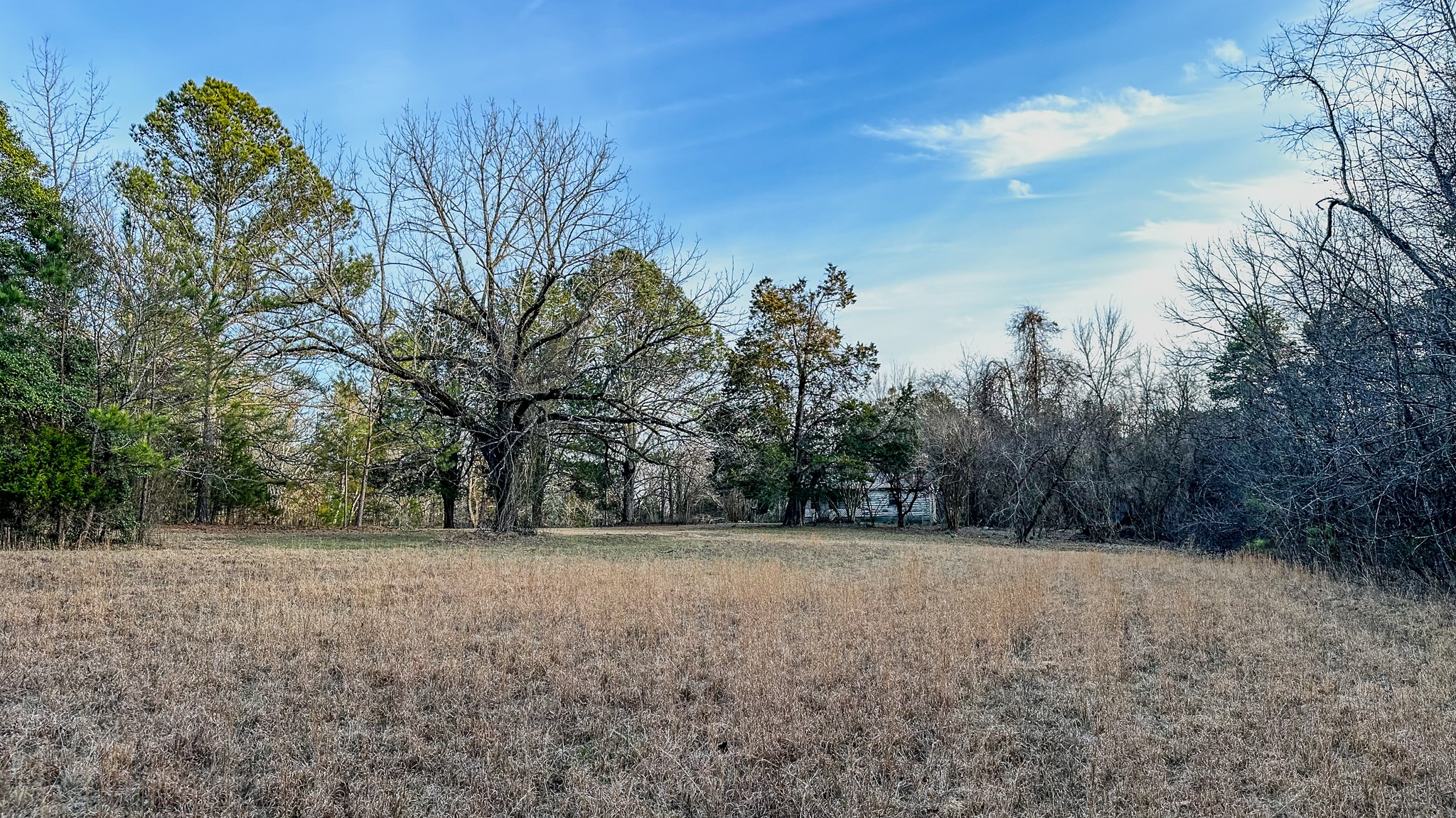 3677 Center Hill Road Finger, TN 38334 - Photo 11 of 50 a view of a field with trees in the background