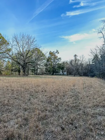 a view of dirt field and trees