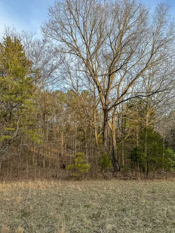 a view of a pathway both side of house
