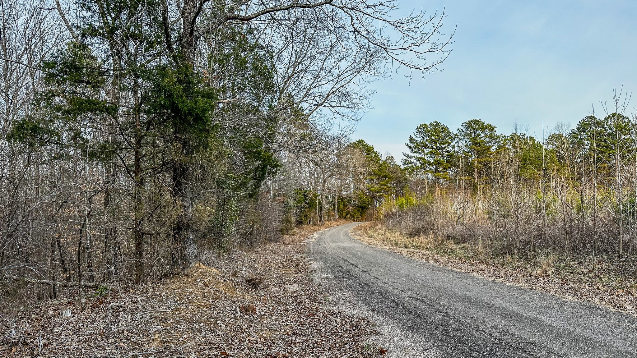 3677 Center Hill Road Finger, TN 38334 - Photo 15 of 50 a view of a yard with trees