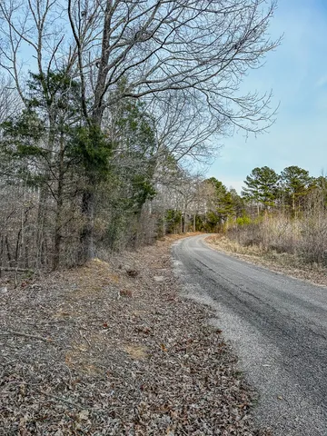 a view of a yard with an trees