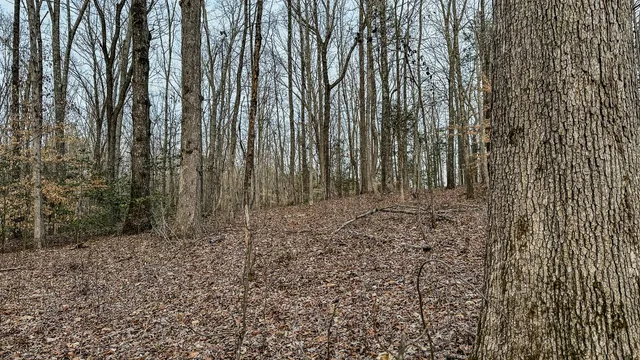 a view of a backyard of the house