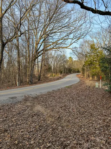 a view of dirt yard with a large tree