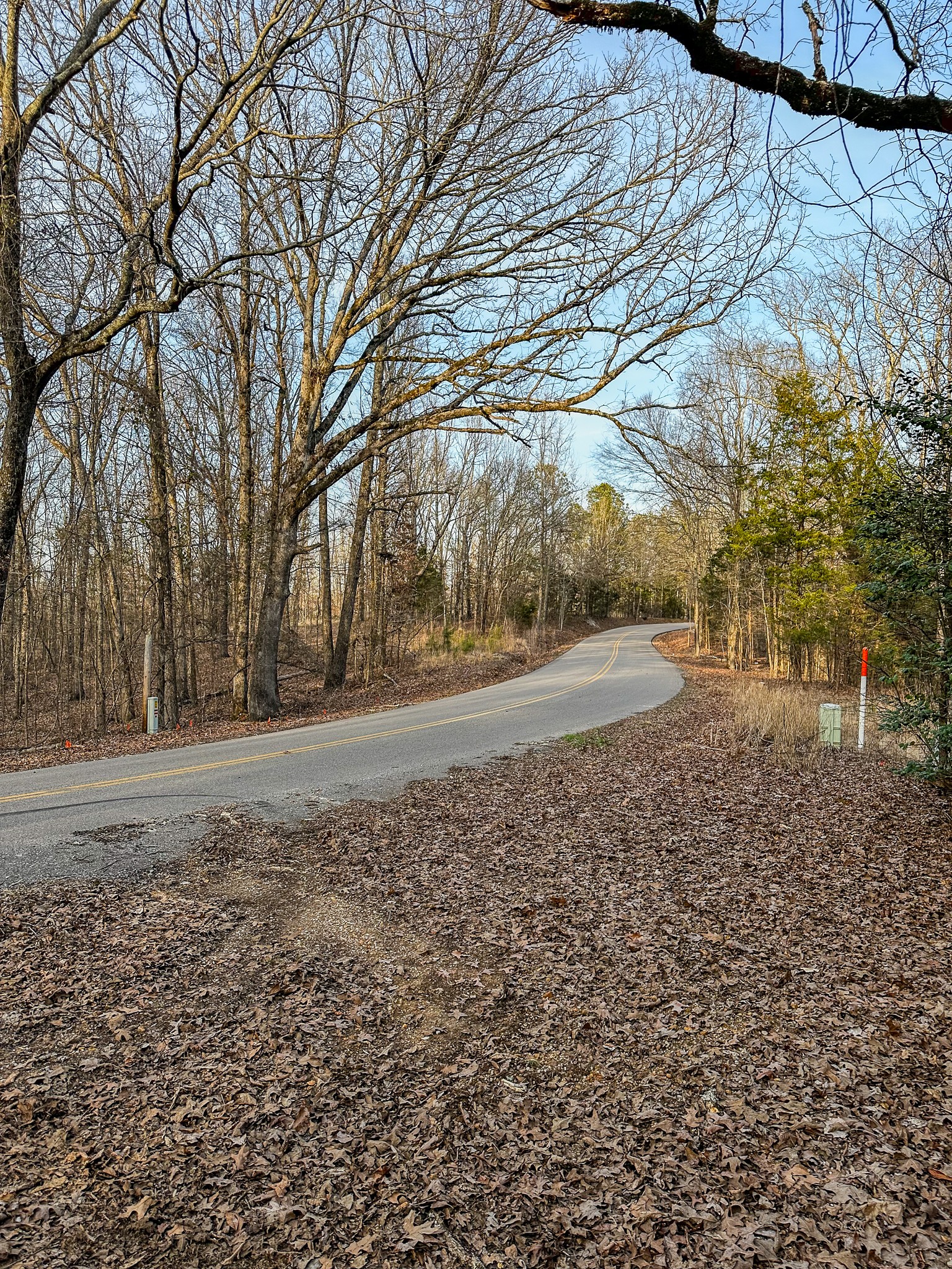 3677 Center Hill Road Finger, TN 38334 - Photo 2 of 50 a view of dirt yard with a large tree