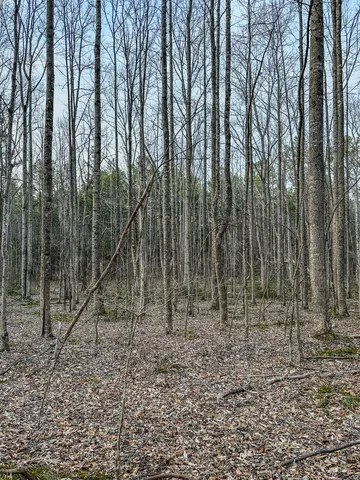 a view of outdoor space with green space