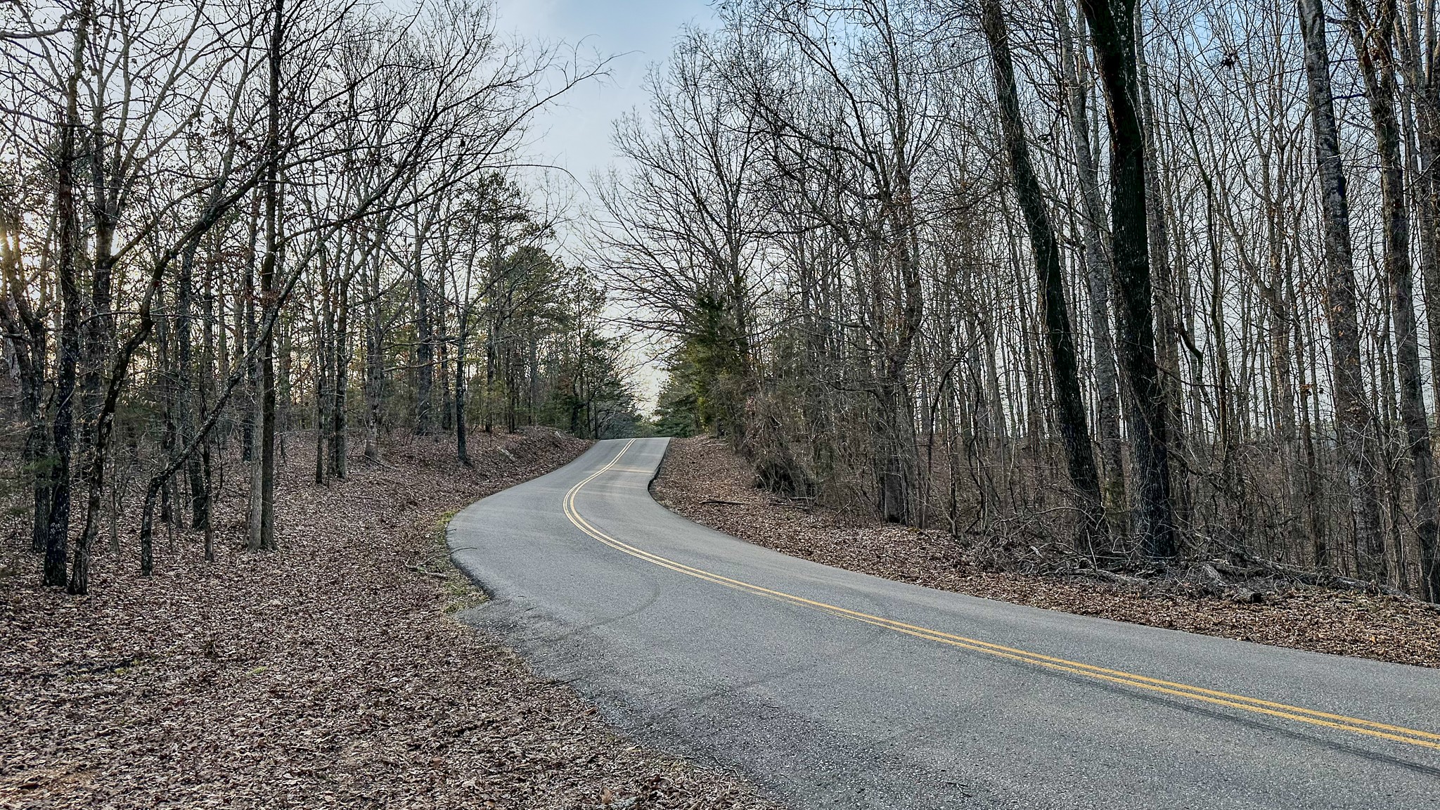 3677 Center Hill Road Finger, TN 38334 - Photo 3 of 50 a yard with large trees
