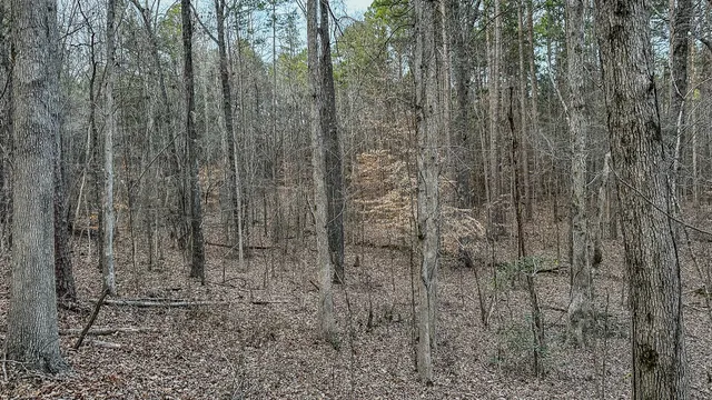 a bathroom with a shower curtain