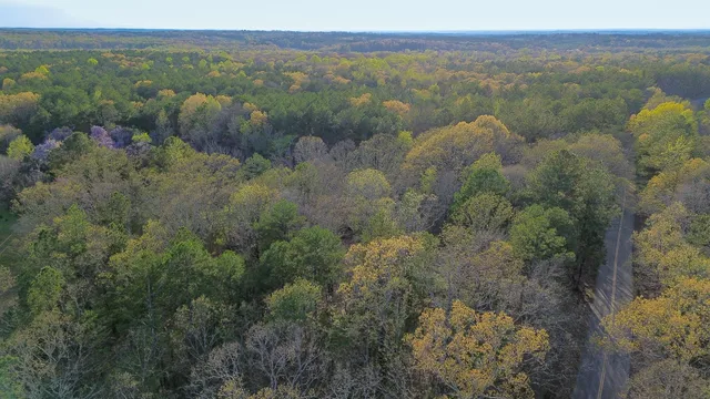 an aerial view of house with yard