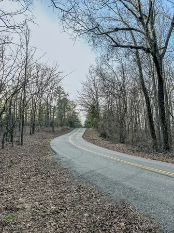 a view of a yard with large trees