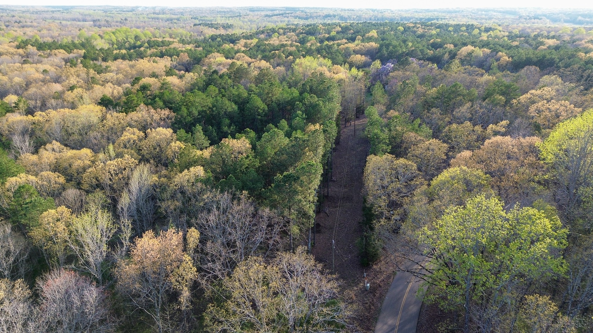 3677 Center Hill Road Finger, TN 38334 - Photo 41 of 50 an aerial view of house with yard