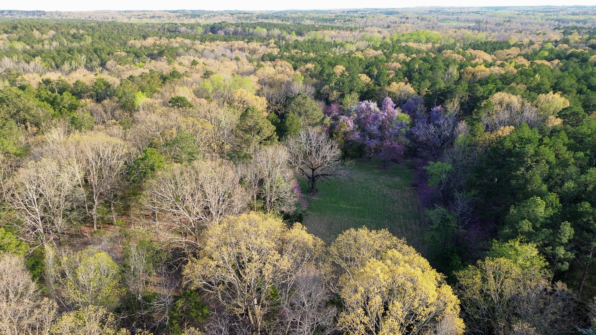 3677 Center Hill Road Finger, TN 38334 - Photo 42 of 50 view of city and mountain