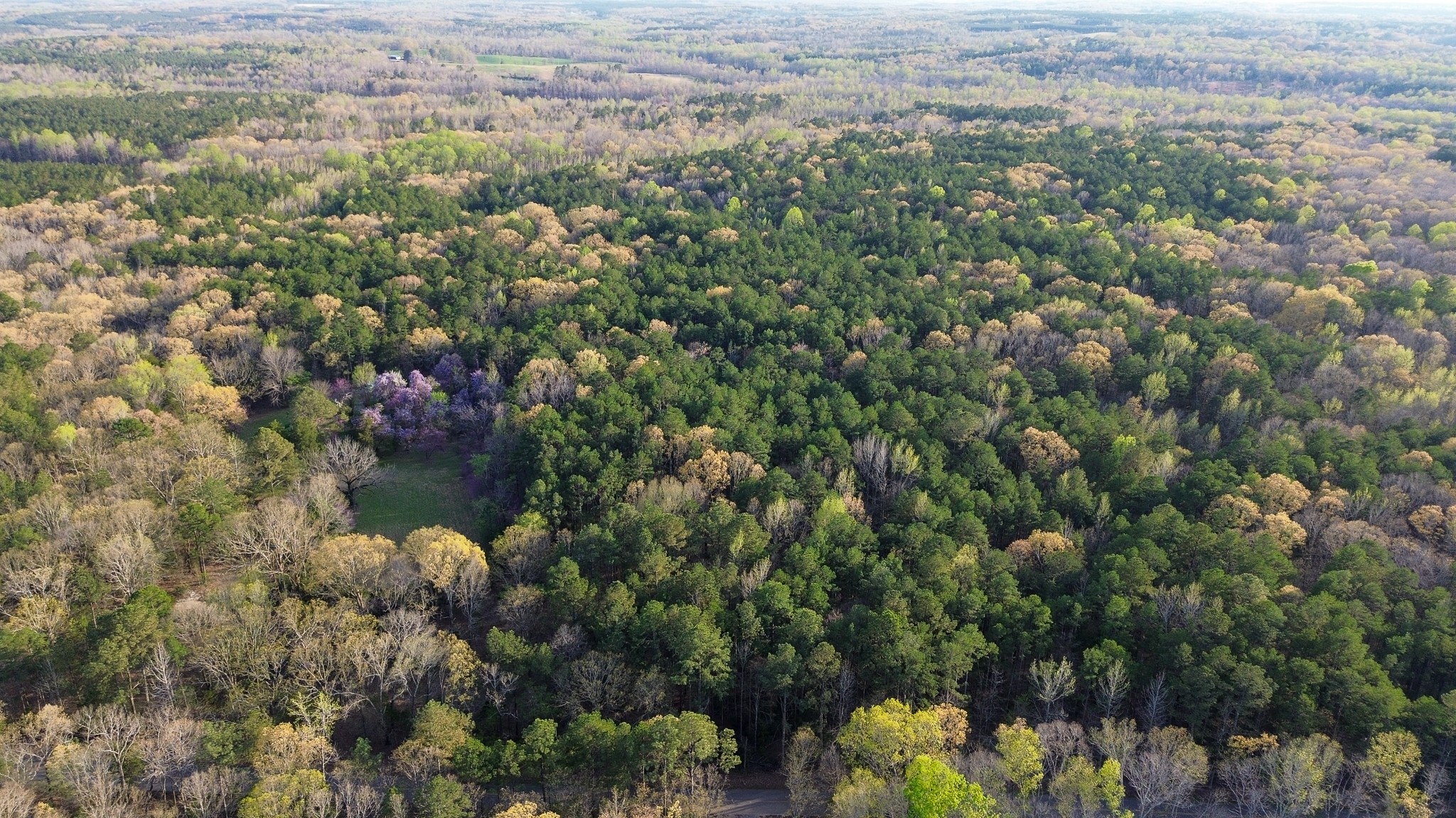 3677 Center Hill Road Finger, TN 38334 - Photo 44 of 50