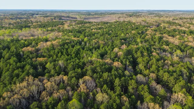 a view of a lush green field