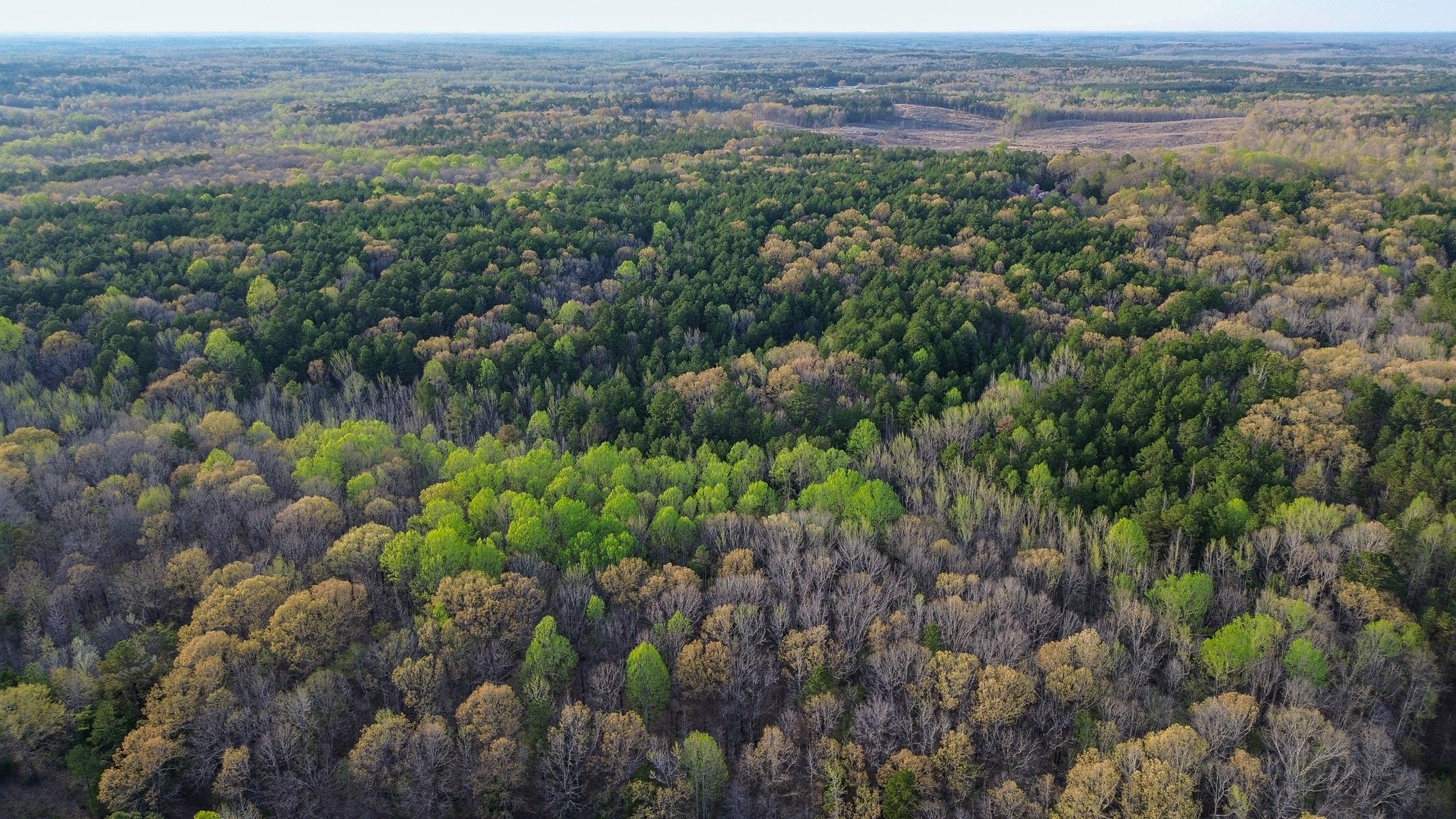 3677 Center Hill Road Finger, TN 38334 - Photo 47 of 50 a view of a lush green field