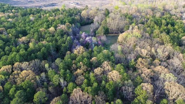 $796,000 | 3677 Center Hill Road, Finger, TN 38334