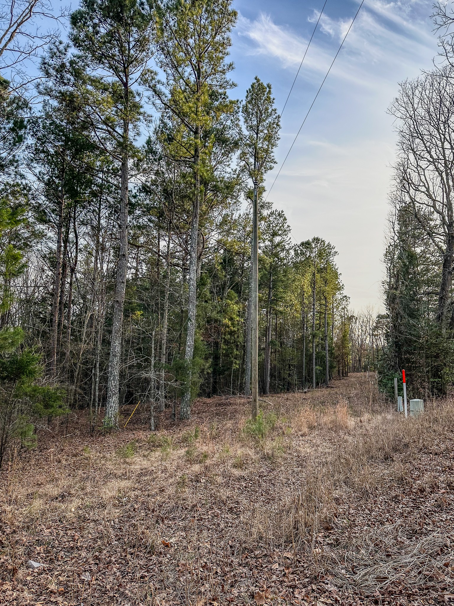 3677 Center Hill Road Finger, TN 38334 - Photo 6 of 50 a view of outdoor space with trees