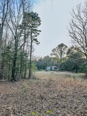 a view of a field with trees in the background