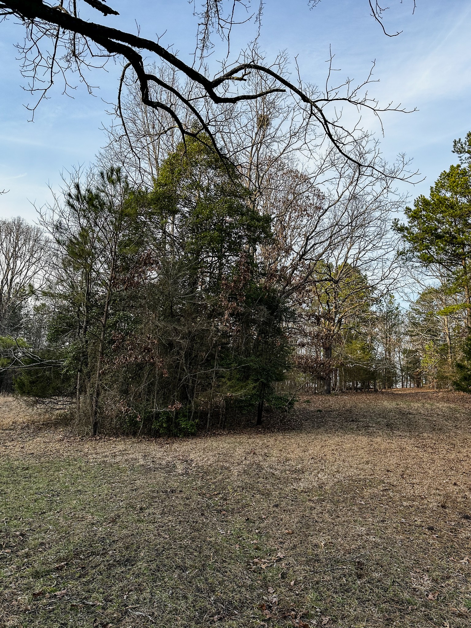 3677 Center Hill Road Finger, TN 38334 - Photo 10 of 50 a view of a yard