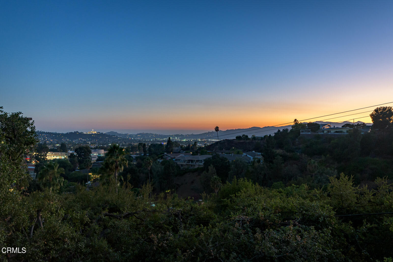 667 Glen Avenue Glendale, CA 91206 - Photo 3 of 46 a view of a lush green outdoor space with swimming pool and mountains