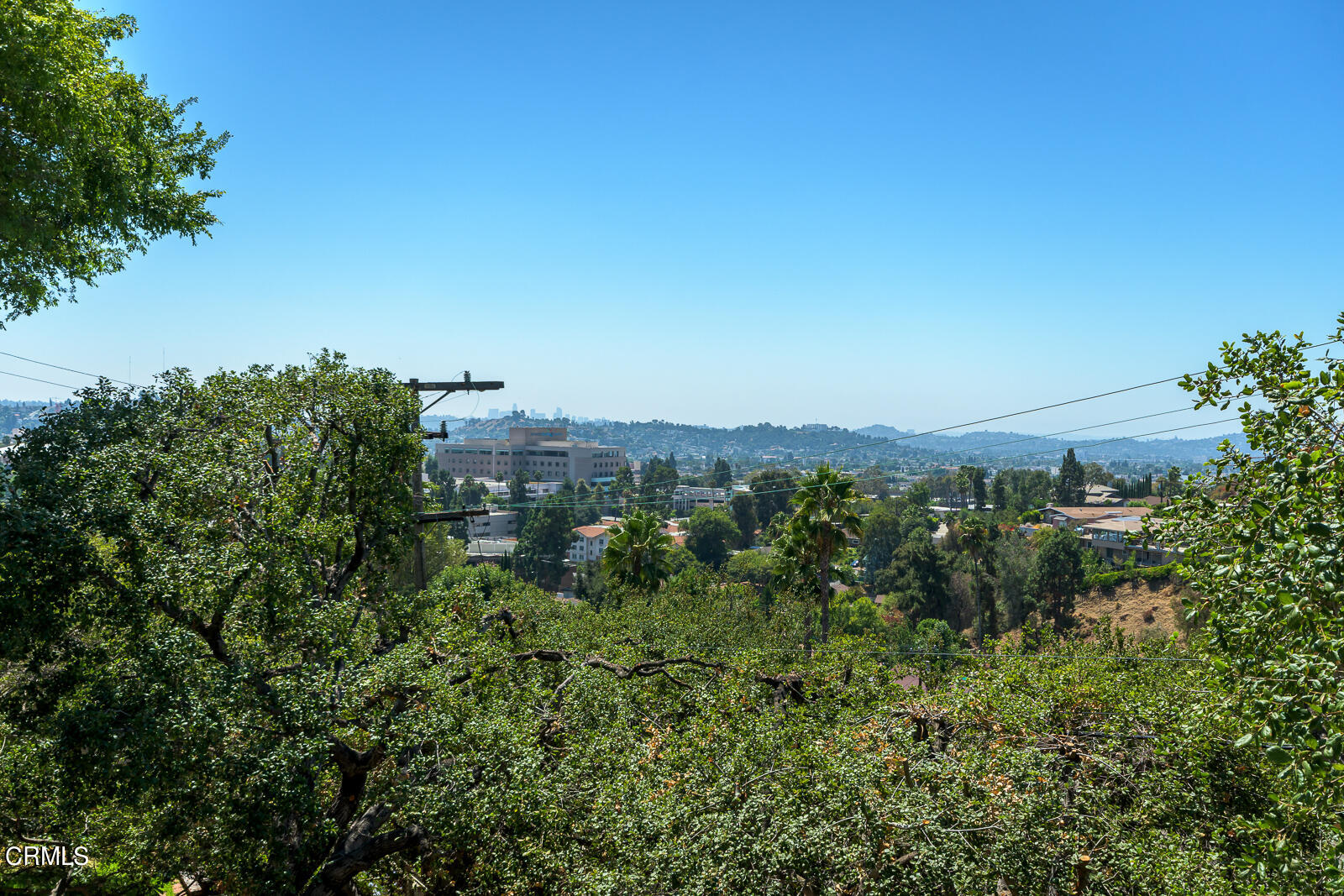 667 Glen Avenue Glendale, CA 91206 - Photo 35 of 46 a view of a green field