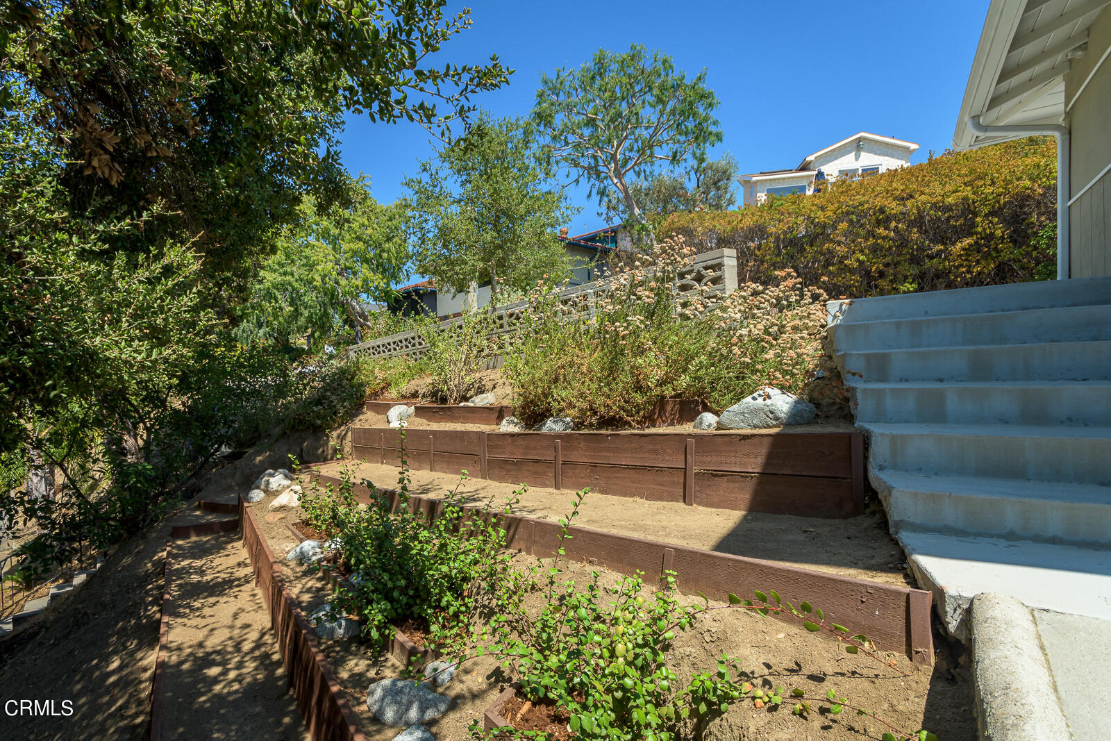 667 Glen Avenue Glendale, CA 91206 - Photo 43 of 46 a view of a yard with flower plants