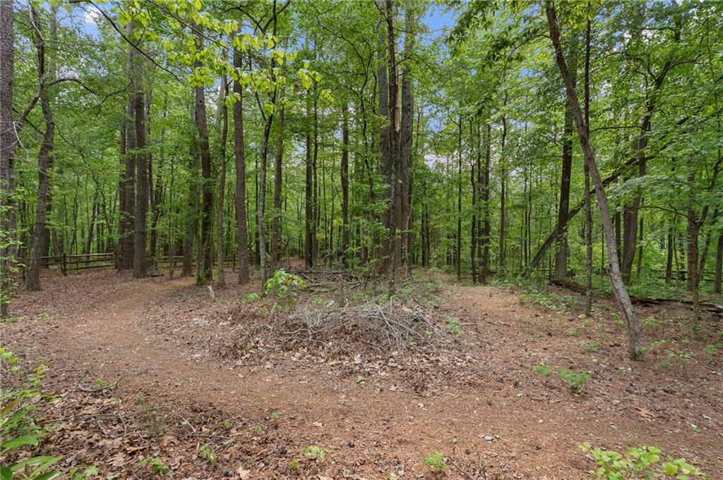 1174 Bowerie Chase Powder Springs, GA 30127 - Photo 59 of 70 a view of outdoor space and green space