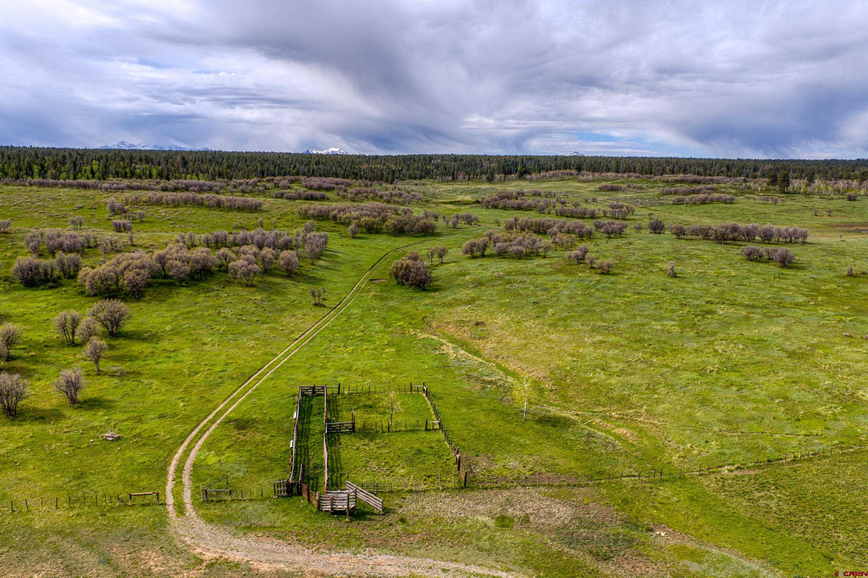 Tbd Hanks Valley Road Montrose, CO 81403 - Photo 22 of 45