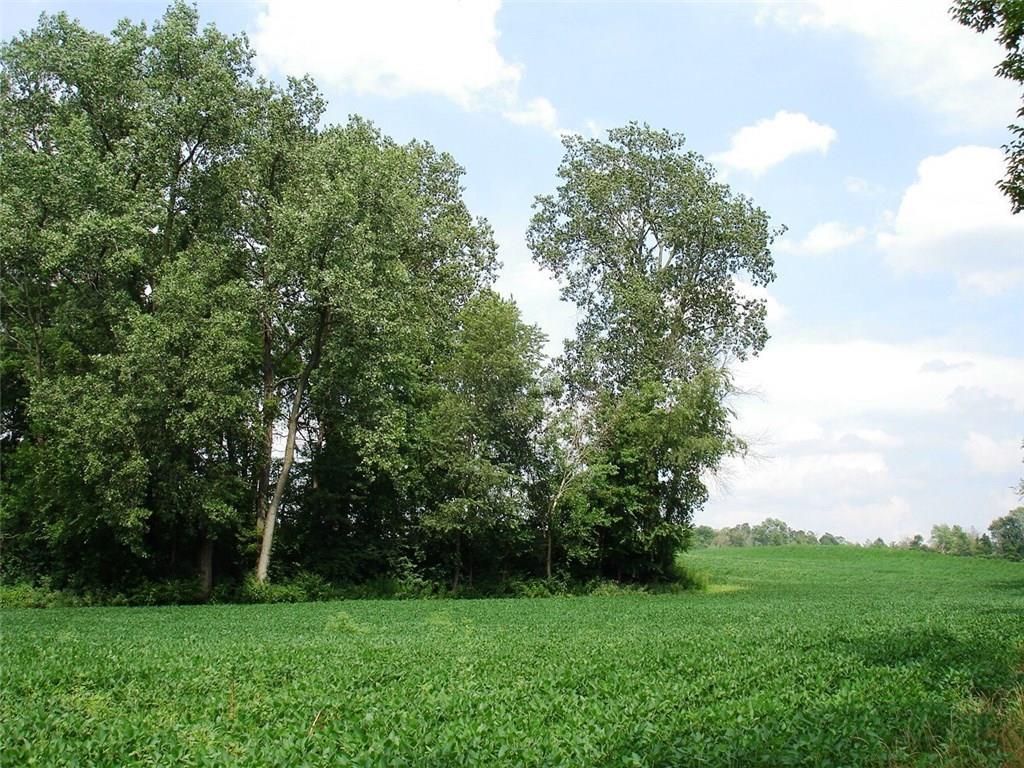 16-acres Selma Road Springfield, OH 45502 - Photo 3 of 6