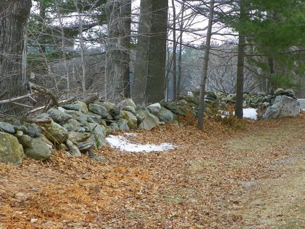 136 Old North Road Worthington, MA 01098 - Photo 29 of 30 Gallery Image 29