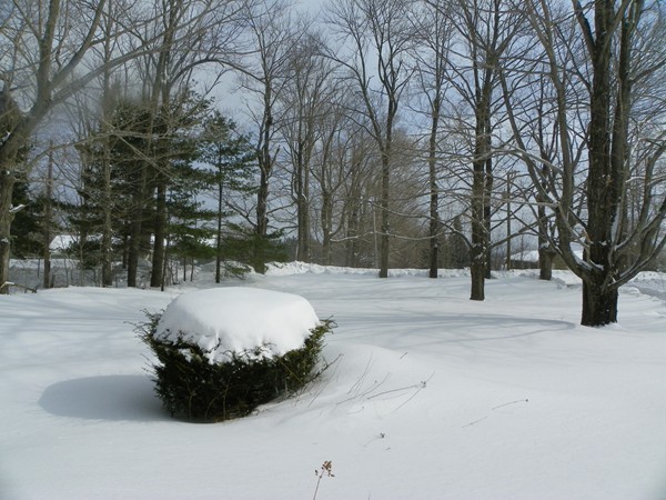 136 Old North Road Worthington, MA 01098 - Photo 4 of 30 Gallery Image 4