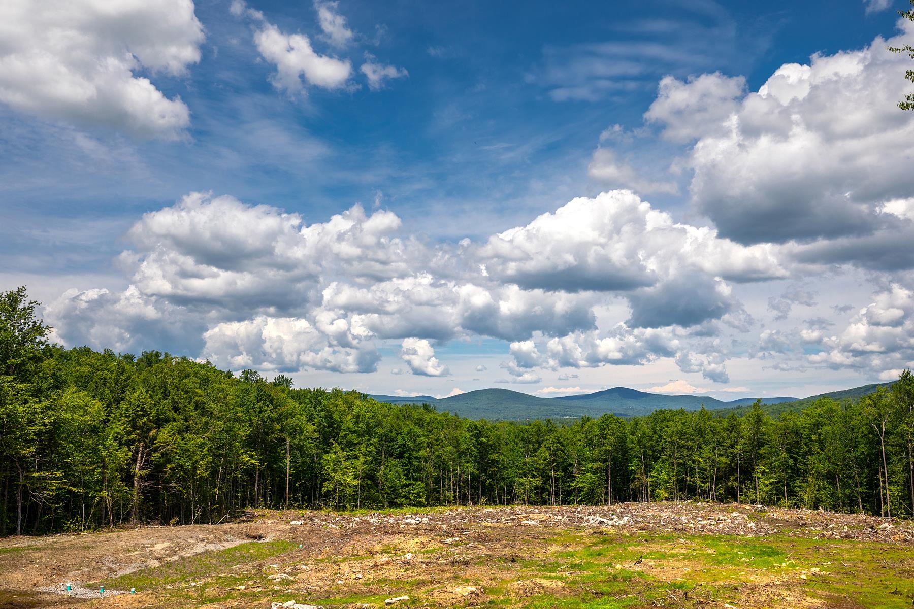 0 Little Pond Road Andover, VT 05143 - Photo 5 of 16