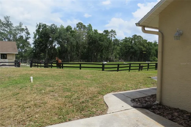 a view of a park with large trees