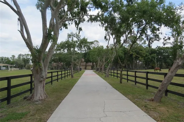 a view of a bench in a park
