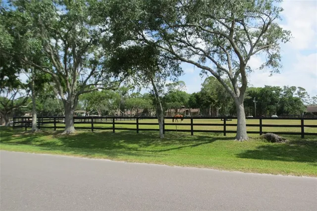 $2,350 | 11521 Innfields Drive, Odessa, FL 33556
