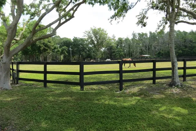 $2,350 | 11521 Innfields Drive, Odessa, FL 33556