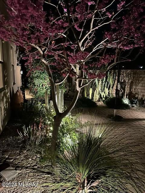 502 East Cedarvale Road Tucson, AZ 85704 - Photo 19 of 35 Gallery Image 19
