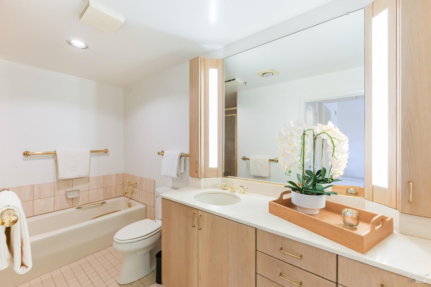 600 Deer Valley Road, Unit 3E San Rafael, CA 94903 - Photo 4 of 18 a bathroom with a sink a toilet and a mirror