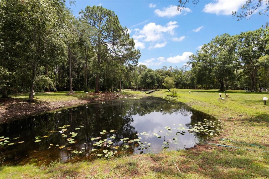 935 Ranch Road Tarpon Springs, FL 34688 - Photo 2 of 40 a view of a lake with a yard
