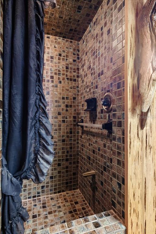 935 Ranch Road Tarpon Springs, FL 34688 - Photo 27 of 40 a bathroom with a shower