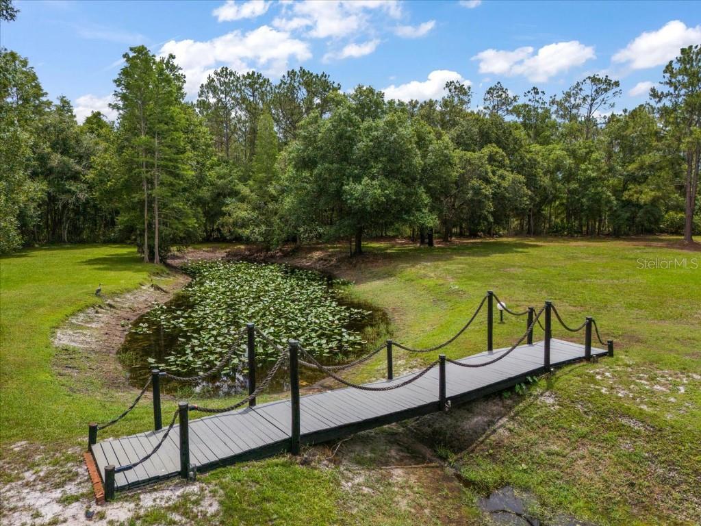 935 Ranch Road Tarpon Springs, FL 34688 - Photo 6 of 40 a view of a garden with lawn chairs
