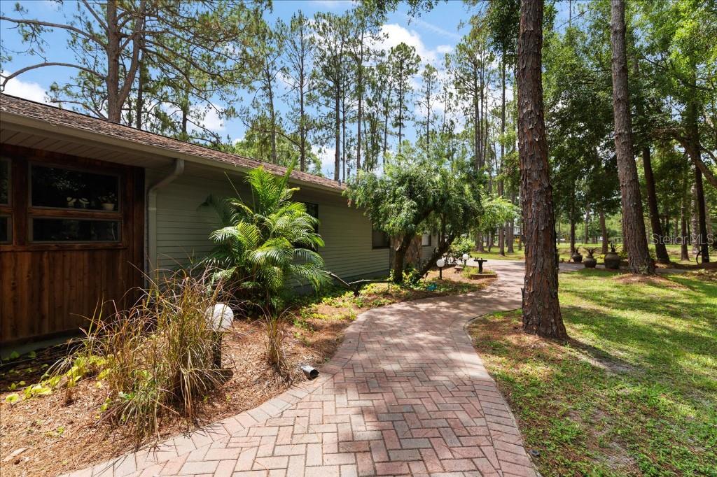 935 Ranch Road Tarpon Springs, FL 34688 - Photo 8 of 40 a plant is in front of a house