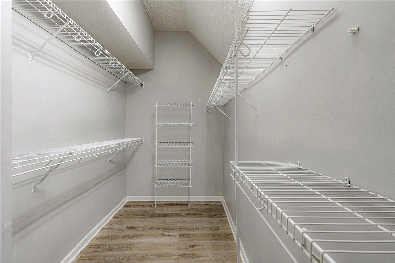 910 Sugar Cove Collierville, TN 38017 - Photo 20 of 32 Walk in closet featuring light wood-style flooring