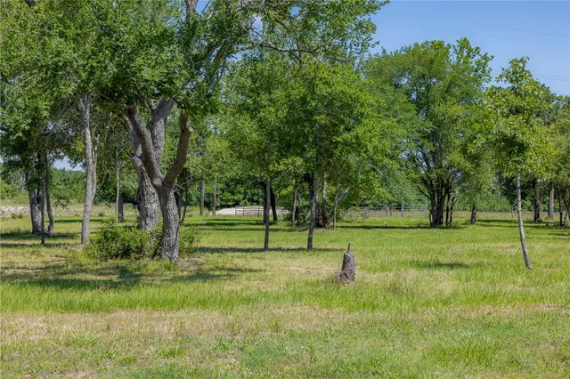 a view of a park with large trees