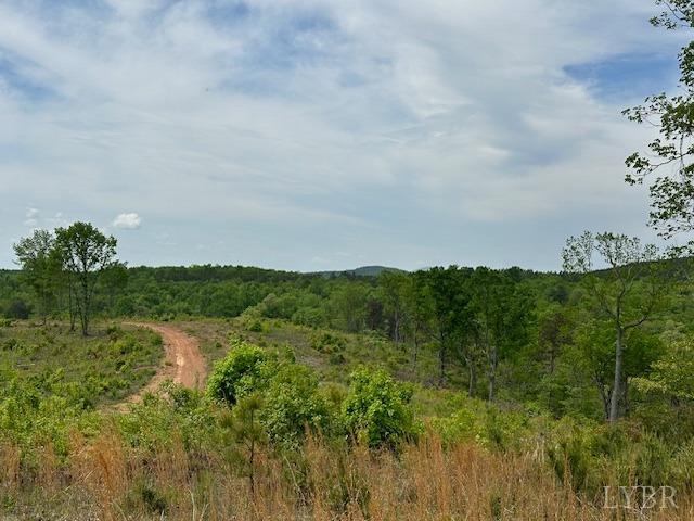 4 Leesville Road Lynch Station, VA 24571 - Photo 3 of 5