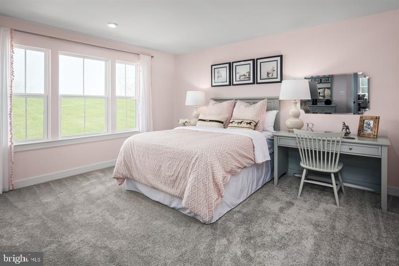 5344 Striped Maple Street Frederick, MD 21703 - Photo 19 of 24