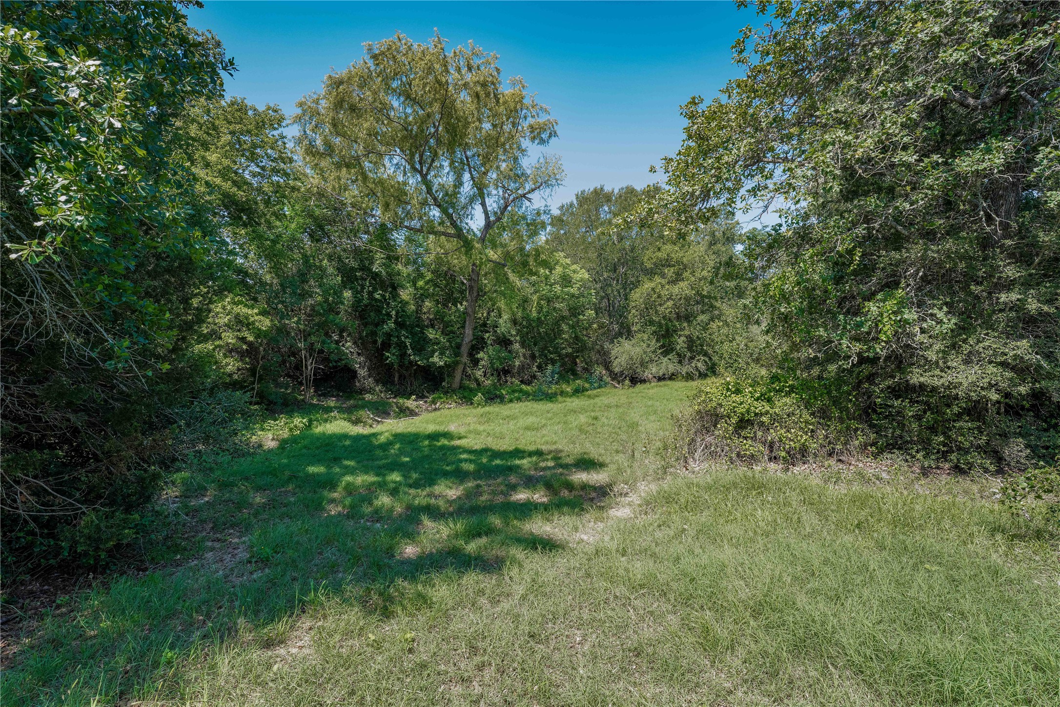 Tbd Warda Church Road Giddings, TX 78942 - Photo 22 of 29