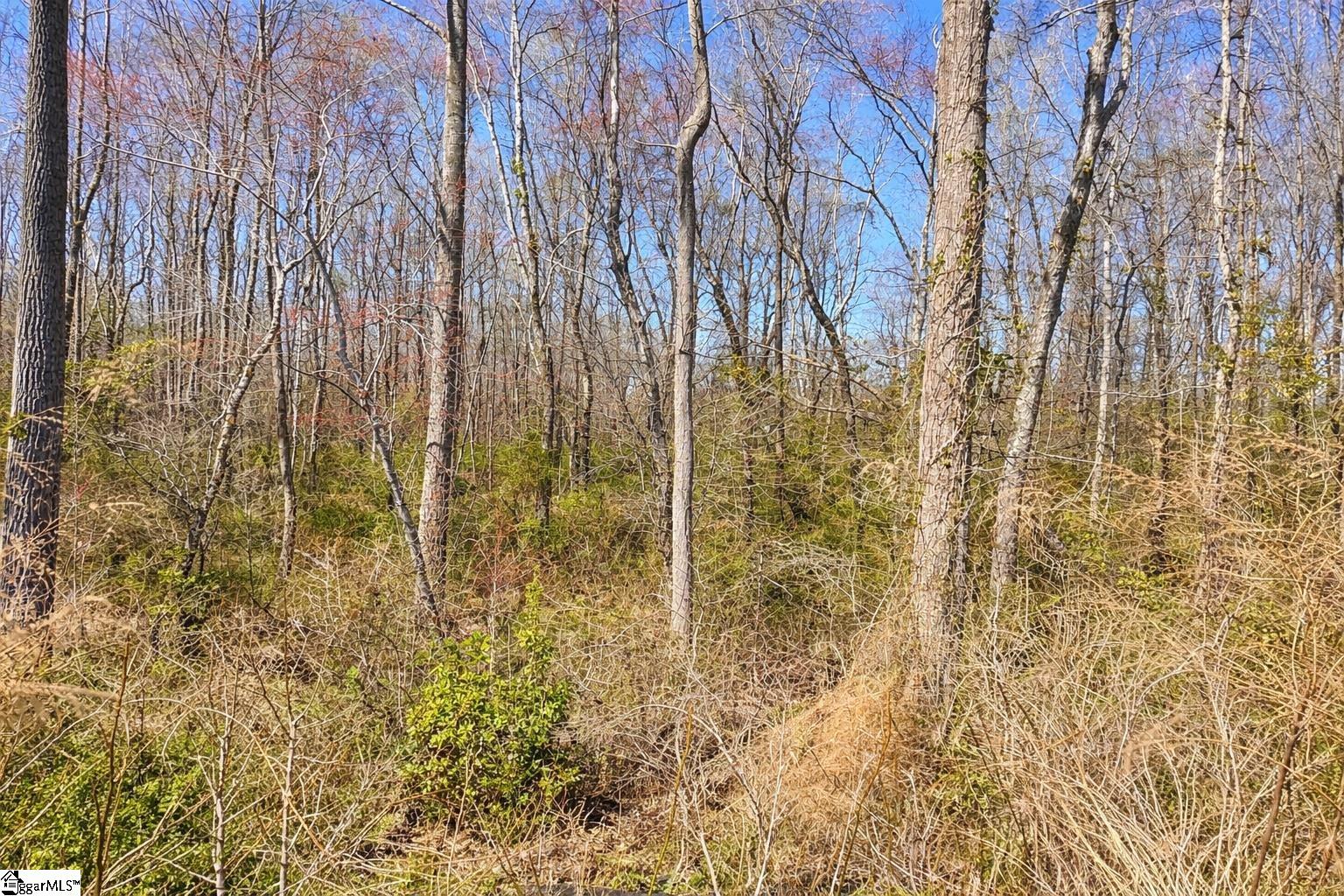 727 Wayfinder Run Inman, SC 29349 - Photo 30 of 30