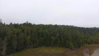 DJI_0234